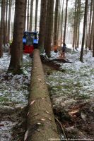 Lindenburschen Neubiberg - Maibaum fällen 30.12.2017 - IMG_3380